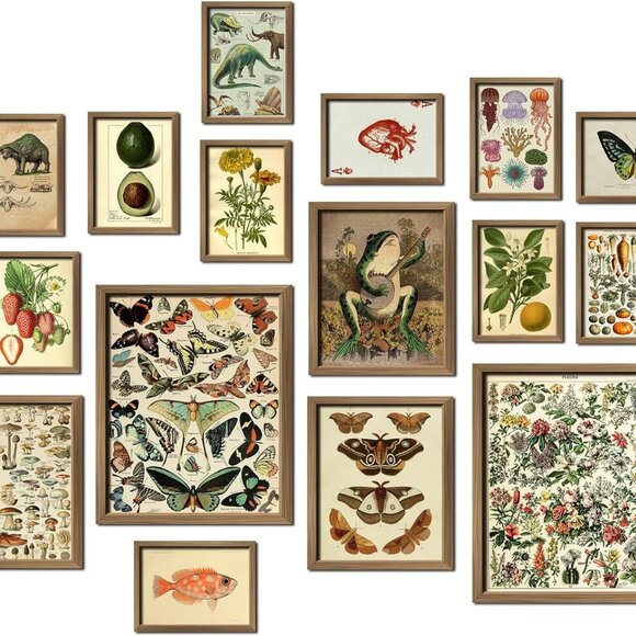 16 PCS Framed Vintage Wall Art Decor, Botanical Cottagecore Wall Prints for Bedr - Picture 1 of 7